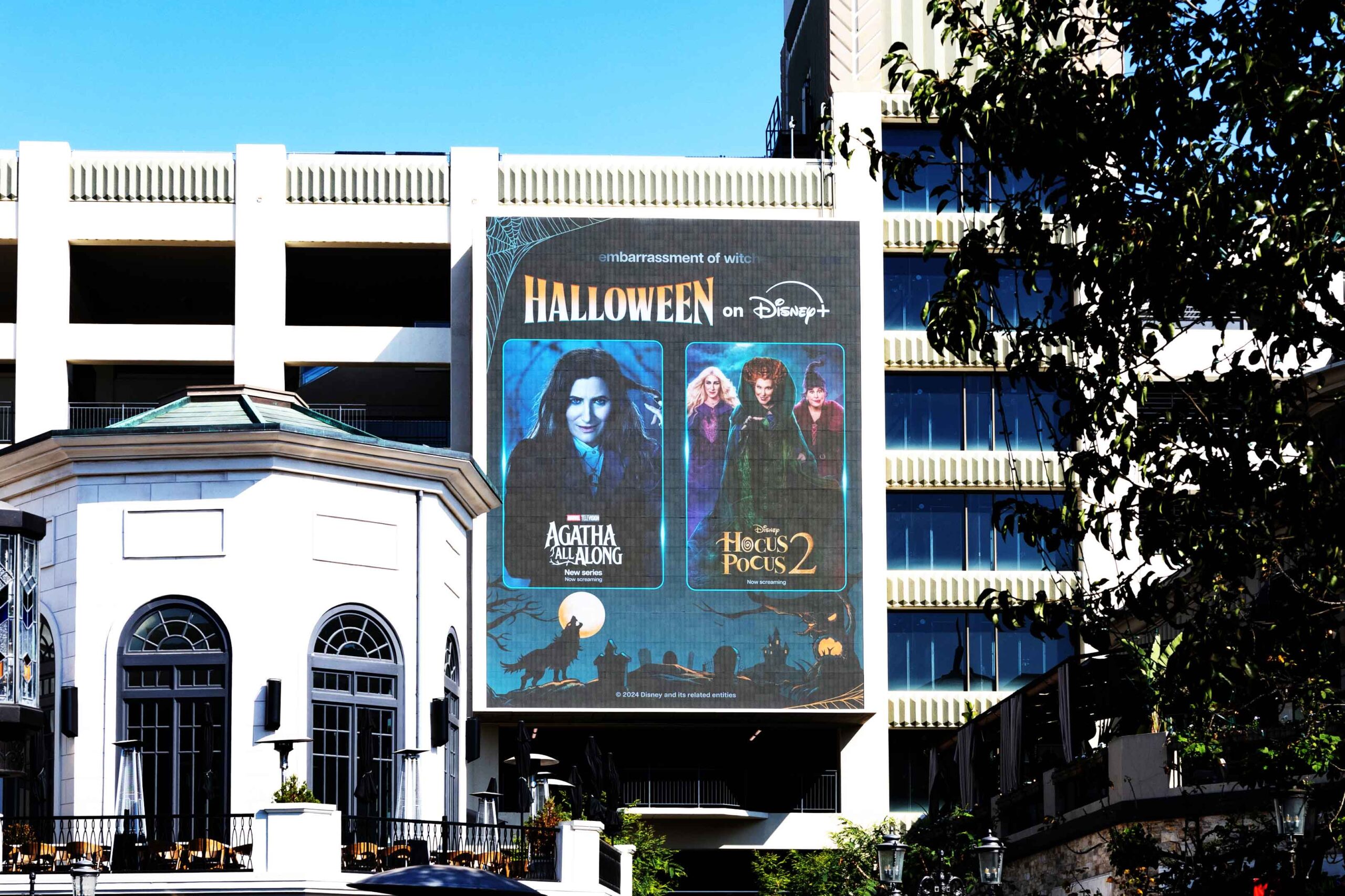 Halloween-on-D+---LA---OFM---Grove---Close-(1)